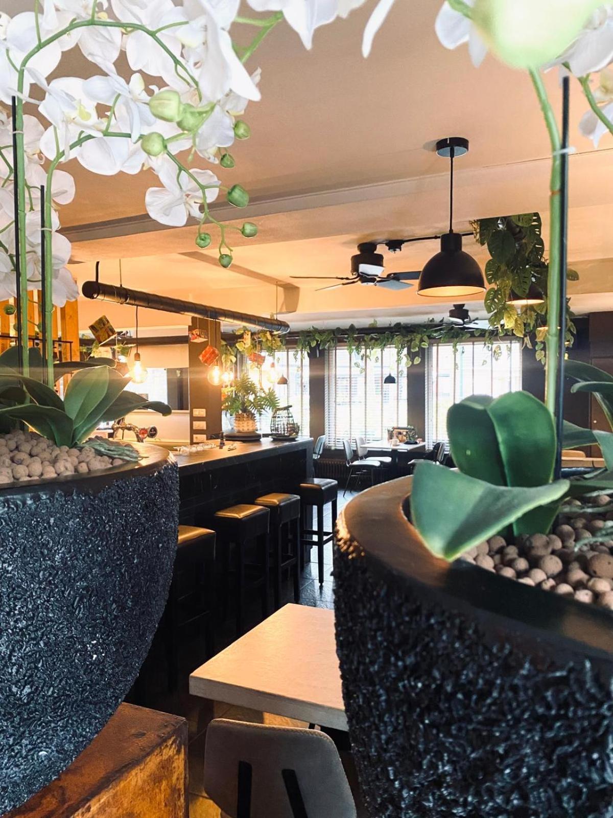 Apartamento Hartje Zurrik - Knus In Bosrijke Omgeving Soerendonk